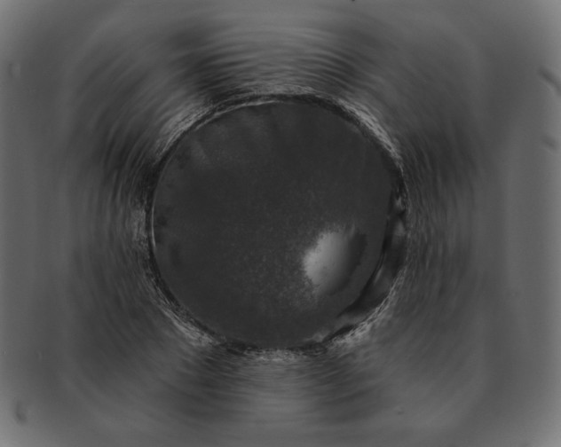 X0000091700881200709071346