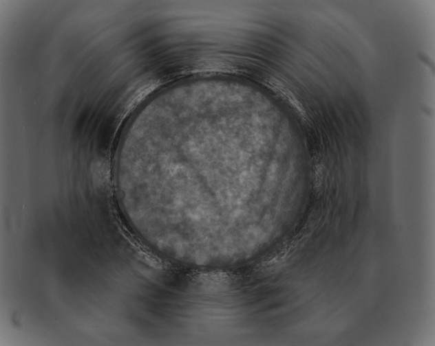 X0000091700882200709071346