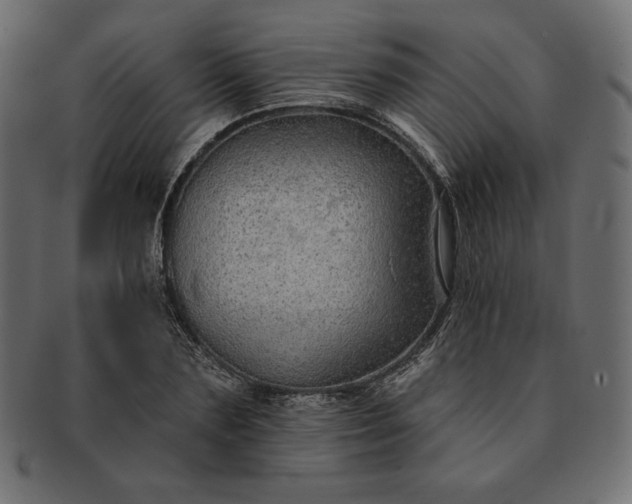 X0000091700883200709071346