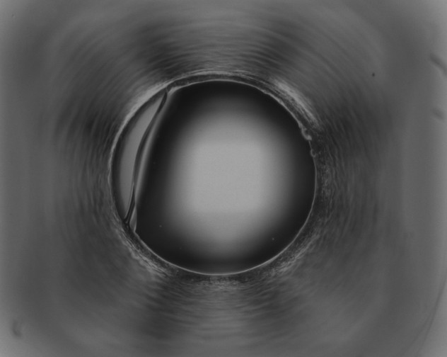 X0000091700884200709071346