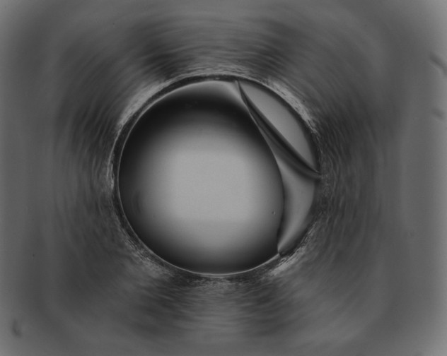 X0000091700885200709071346