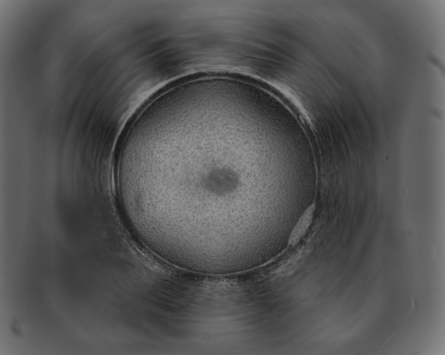 X0000091700887200709071346