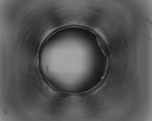 X0000091700888200709071346