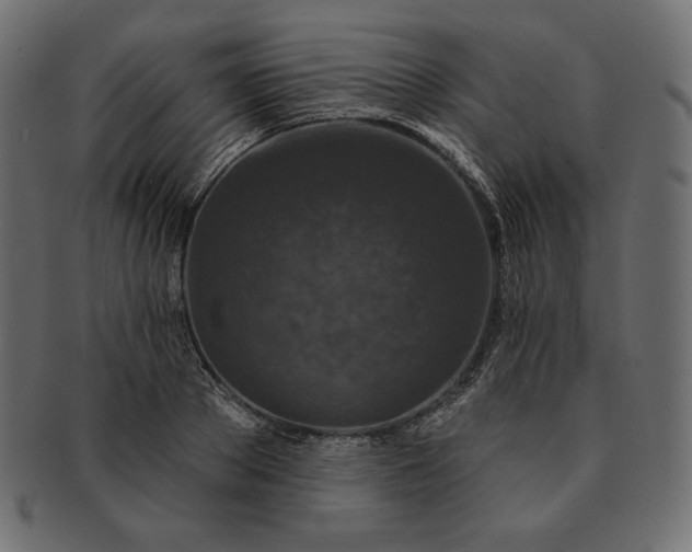 X0000091700889200709071346