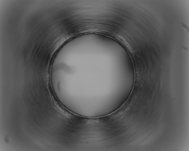 X0000091700890200709071346