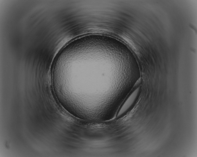 X0000091700891200709071346