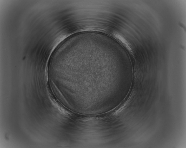 X0000091700892200709071346