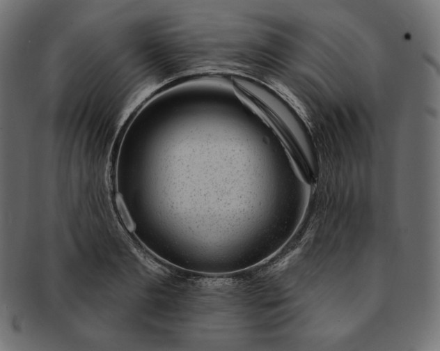 X0000091700893200709071346