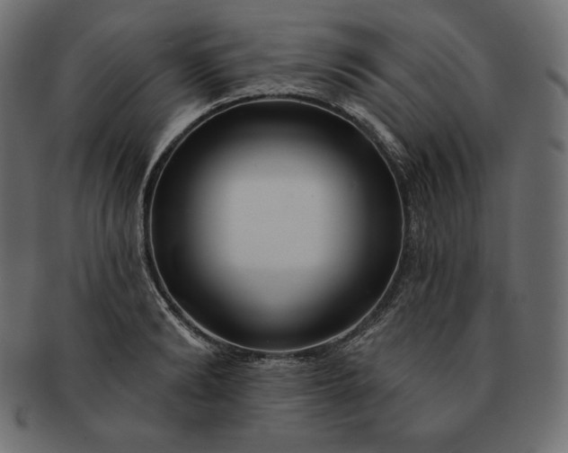 X0000091700894200709071346