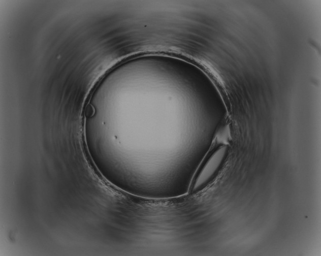 X0000091700895200709071346