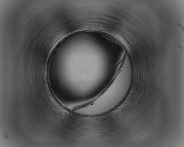 X0000091700896200709071346