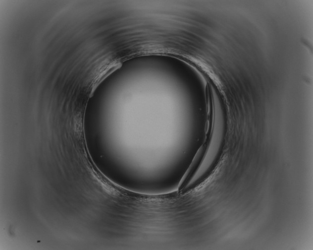 X0000091700897200709071346