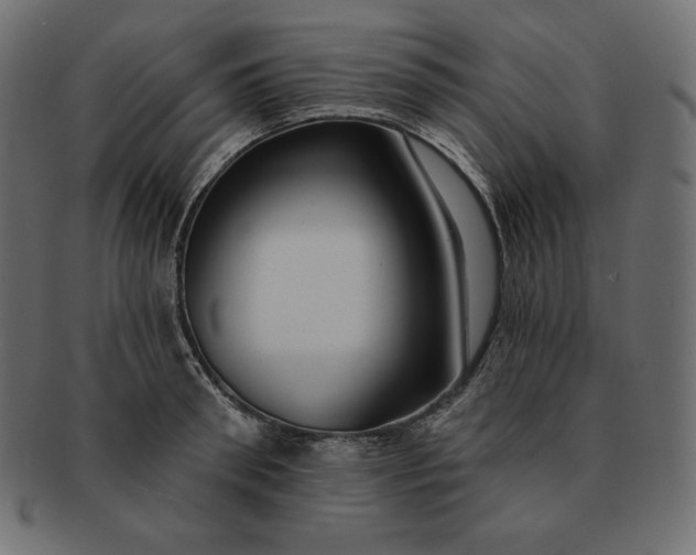 X0000091700898200709071346