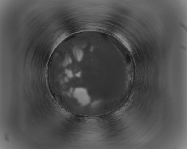 X0000091700899200709071346