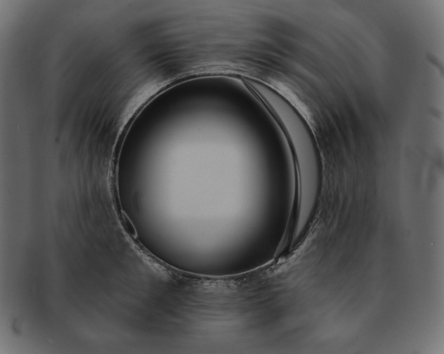 X0000091700901200709071346