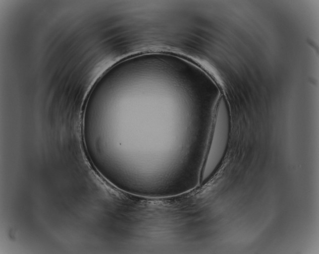 X0000091700903200709071346