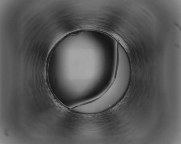 X0000091700904200709071346