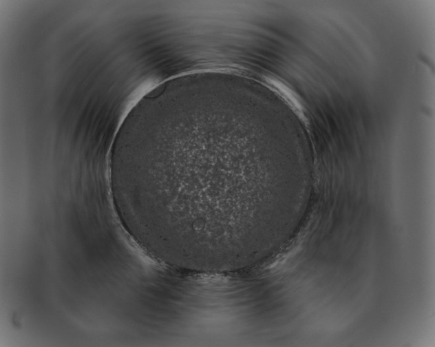 X0000091700907200709071346