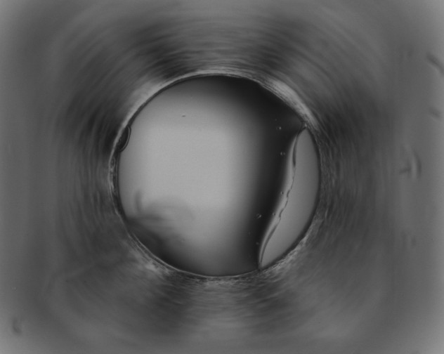 X0000091700908200709071346