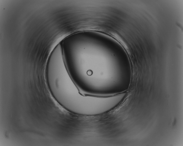 X0000091700909200709071346