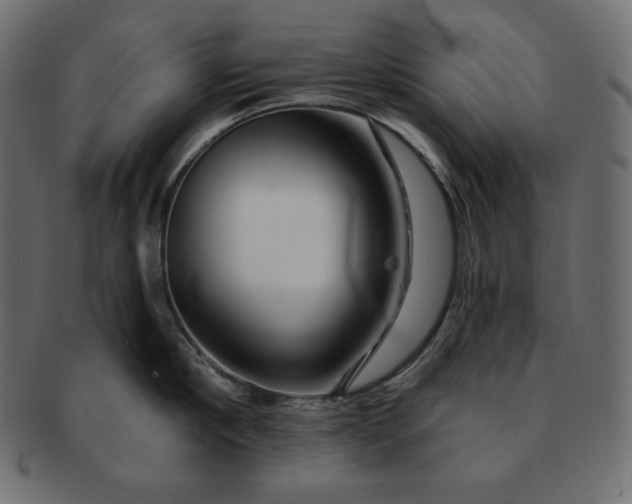 X0000091700910200709071346