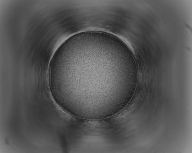 X0000091700911200709071346