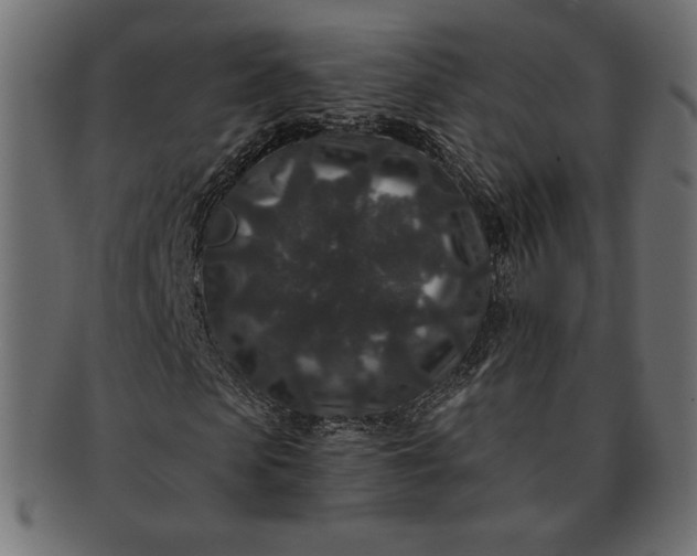 X0000091700913200709071345