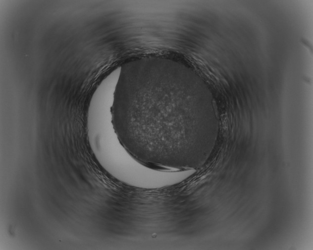 X0000091700916200709071345