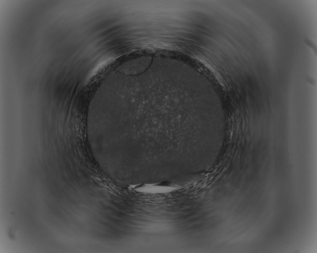 X0000091700919200709071345