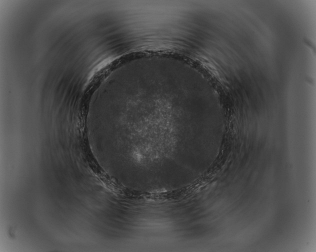 X0000091700920200709071345