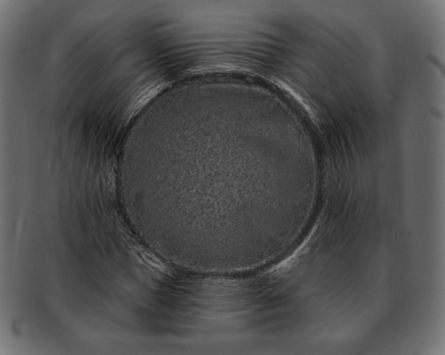 X0000091700921200709071345