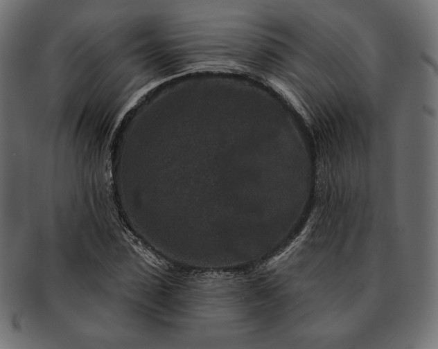 X0000091700923200709071345