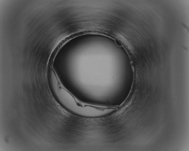 X0000091700924200709071345