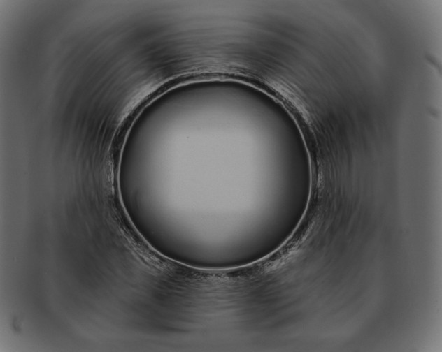 X0000091700925200709071345