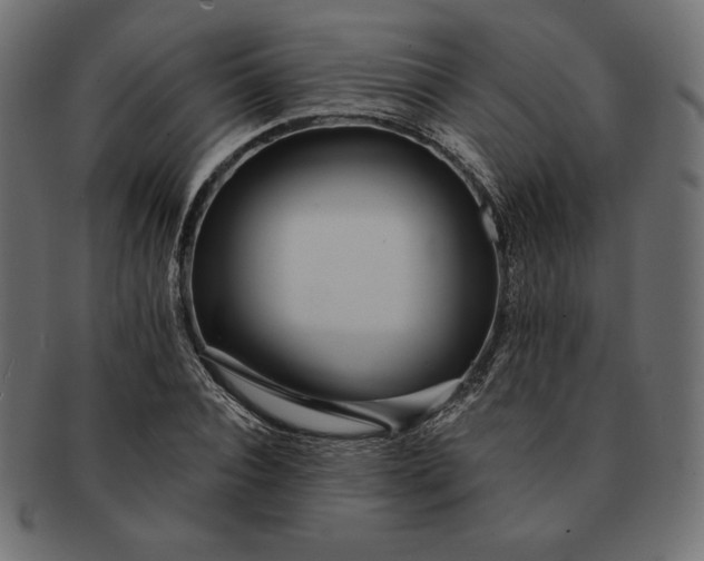 X0000091700928200709071345