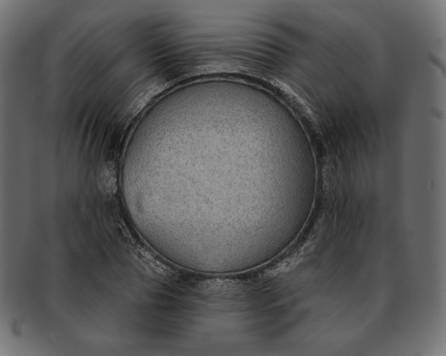 X0000091700929200709071345