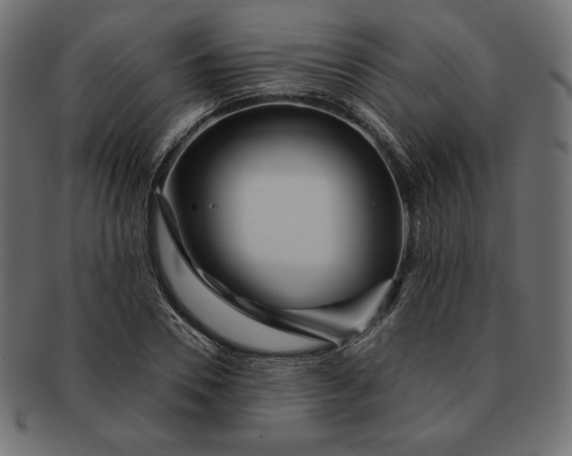 X0000091700930200709071345