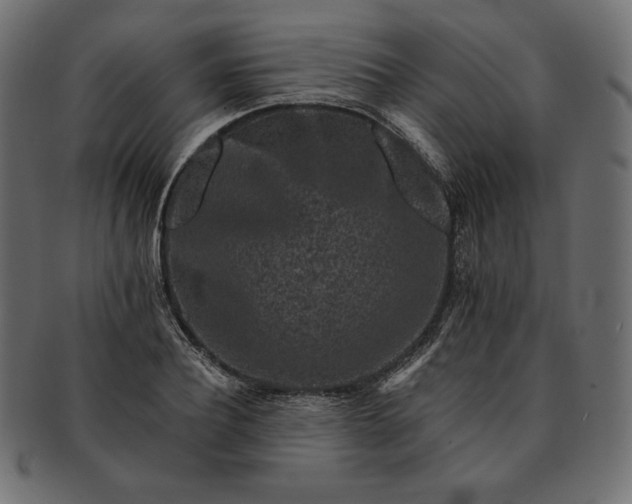 X0000091700932200709071345