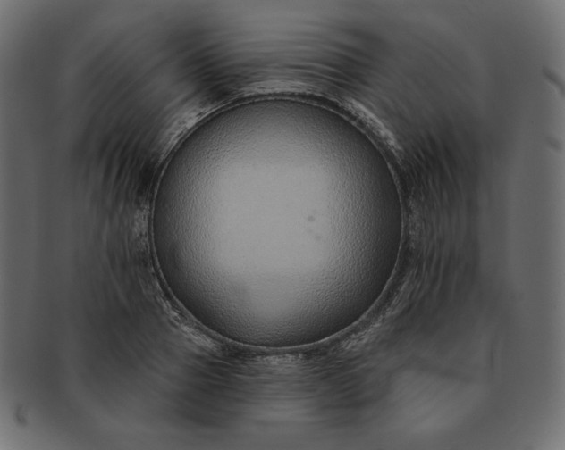 X0000091700937200709071345