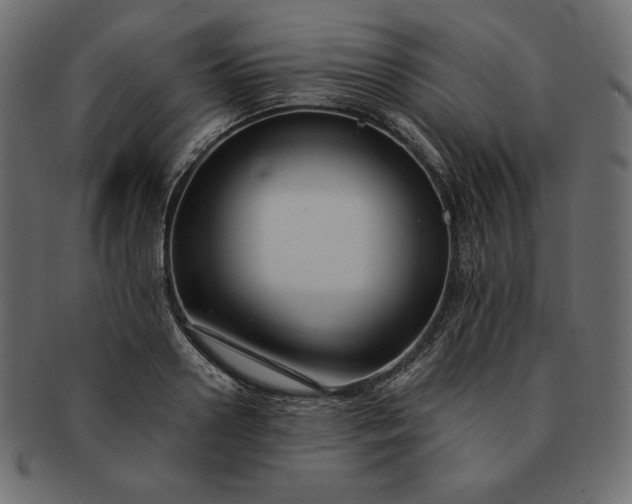 X0000091700938200709071346