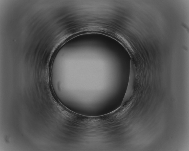 X0000091700939200709071346