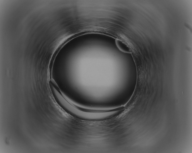 X0000091700940200709071346