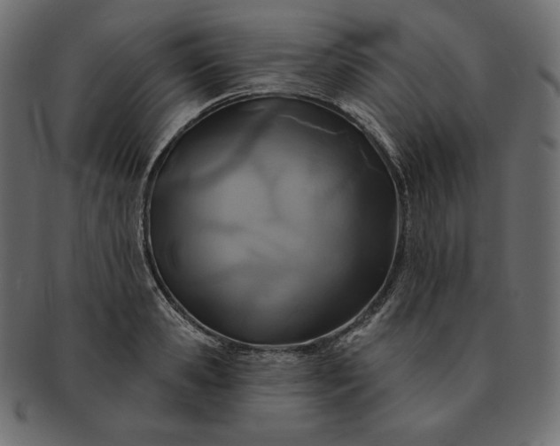 X0000091700941200709071346