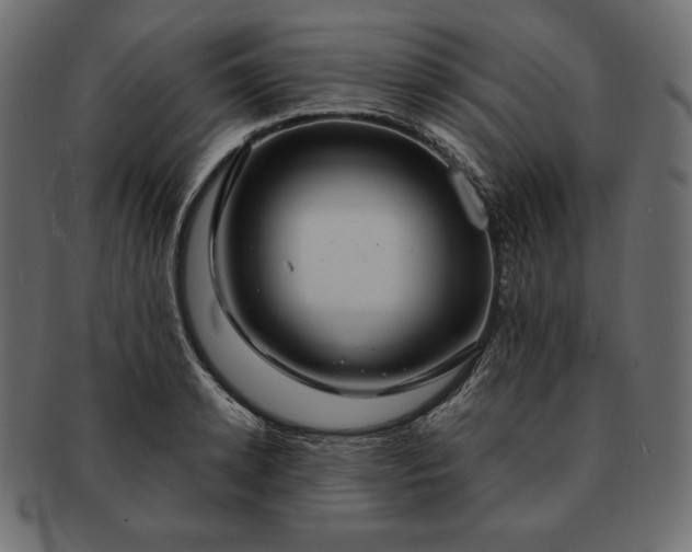 X0000091700942200709071346