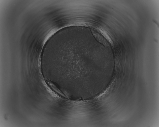 X0000091700944200709071346