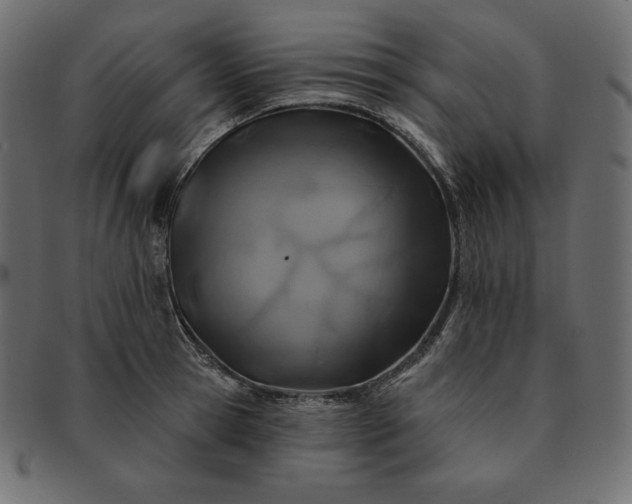 X0000091700945200709071346