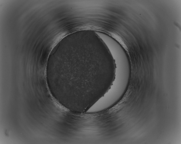 X0000091700946200709071346