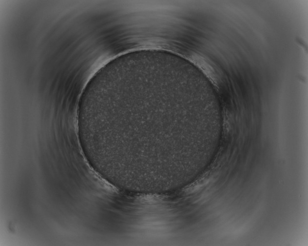 X0000091700950200709071346