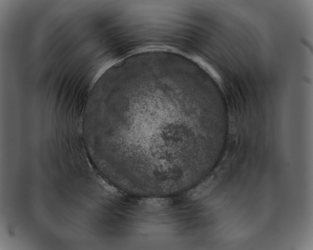 X0000091700953200709071346