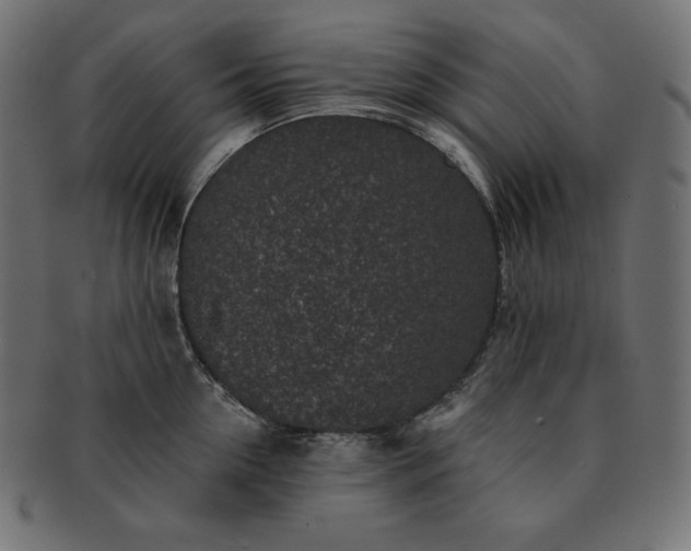 X0000091700954200709071346